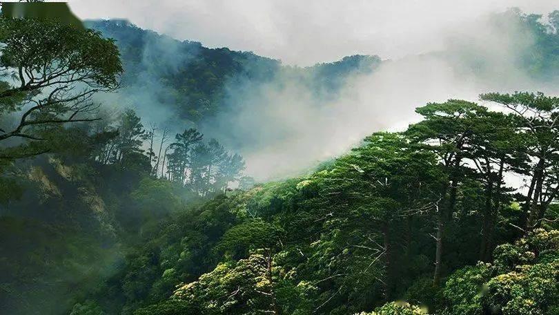 空中抛枪