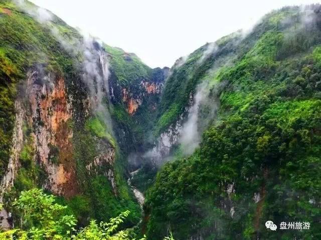 腹部游走性疼痛游戏画面