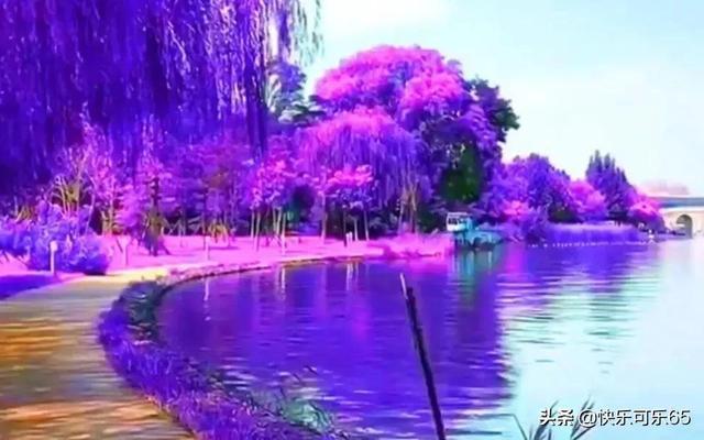 南明区花果园街道开展春节前慰问企业托管离退休人员